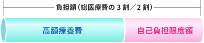 負担額(総医療費の3割/2割)