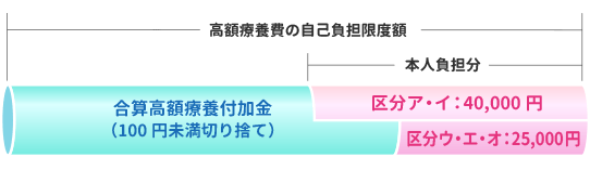 合算高額療養付加金