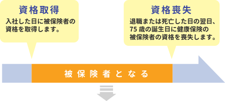 資格取得および喪失時期について