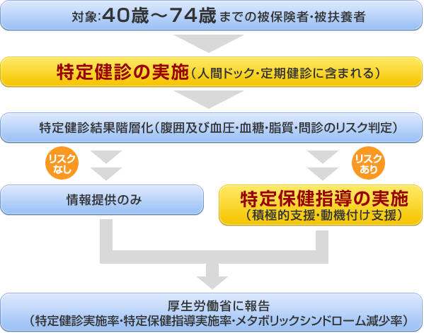 特定健診・特定保健指導の流れ