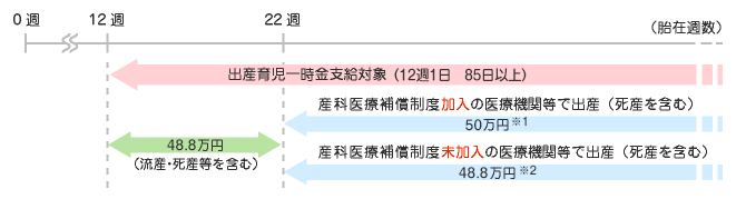 出産したとき