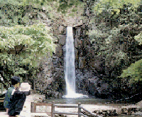 鼓ヶ滝公園