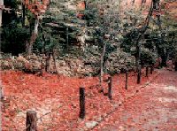 瑞宝寺公園