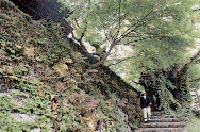 善福寺
