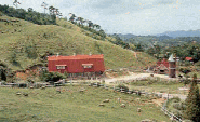 六甲山牧場