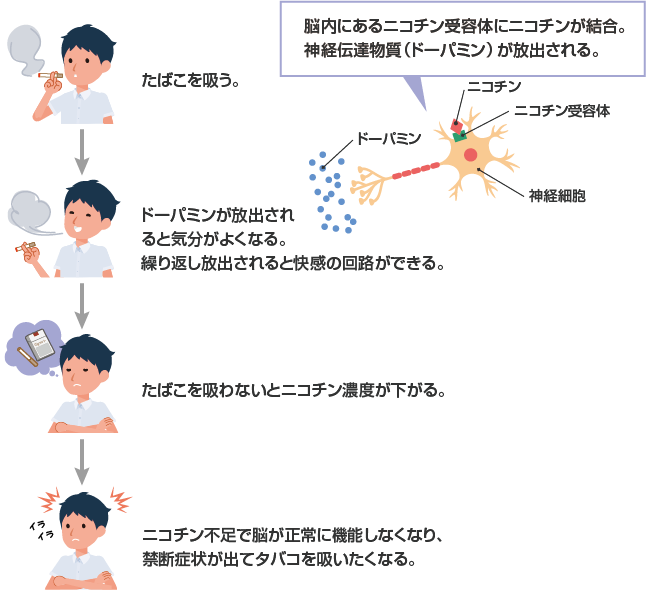 ニコチン依存症のメカニズム