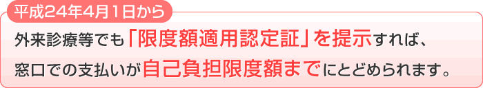 ����24�N4��1������O���f�Ó��ł��u���x�z�K�p�F��؁v��񎦂���΁A�����ł̎x���������ȕ��S���x�z�܂łɂƂǂ߂��܂��B