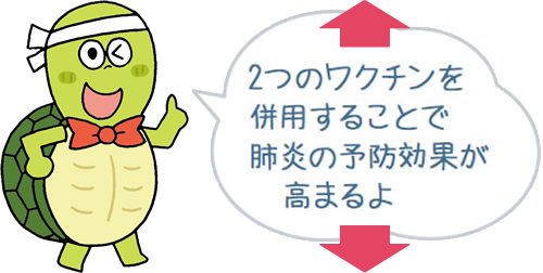 2つのワクチンを併用することで肺炎の予防効果が高まるよ