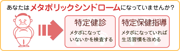 メタボリックシンドローム