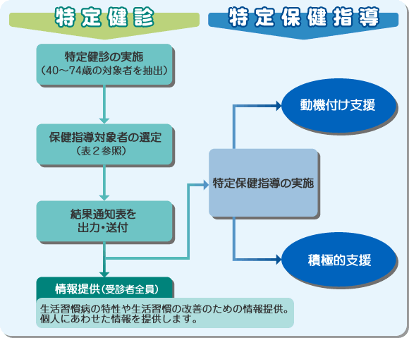 特定保健指導の基本的な流れ