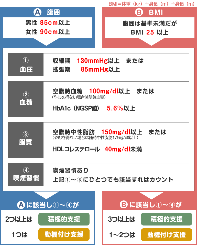 特定健診・特定保健指導とは｜健康づくり｜健康診断・健康づくり