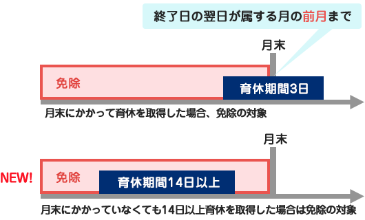 標準報酬（毎月の給与）の場合