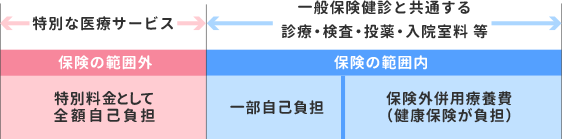 特別料金と保険給付の組み合わせ