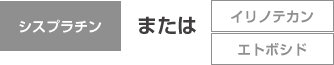 小細胞がんの抗がん剤の組み合わせ表