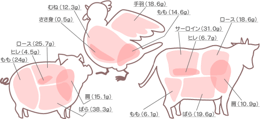 100gあたりの部位別脂肪量