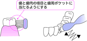 磨き方イメージ