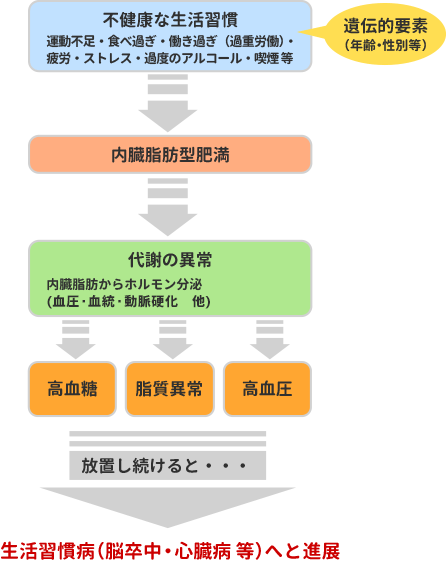 メタボリックシンドロームの概念