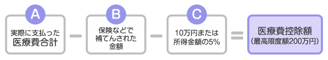 医療費控除額