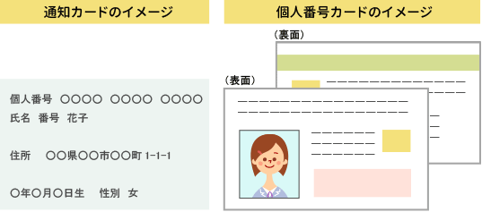 マイナンバーカードイメージ