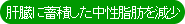 中性脂肪を