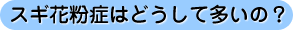 スギ花粉症はどうして多いの?