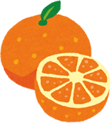 みかんのイラスト