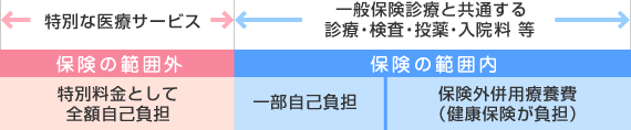 特別料金と保険給付の組み合わせ