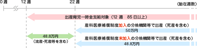 出産育児一時金の支給額