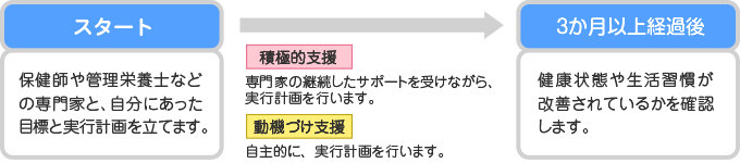 特定保健指導の流れ