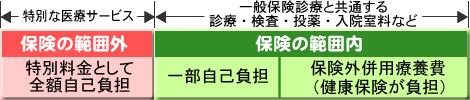 特別料金と保険給付の組み合わせ